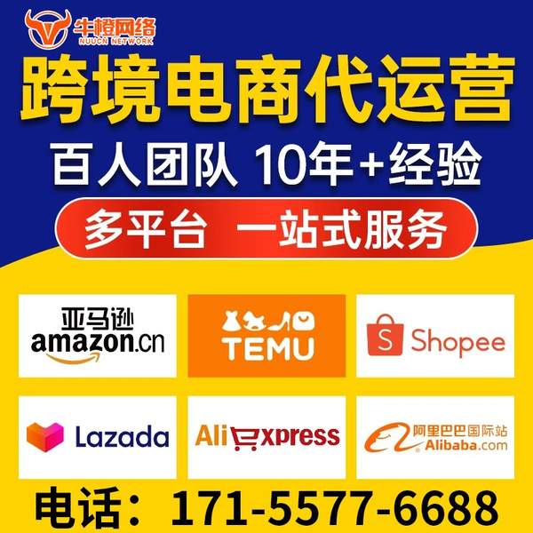 邢台电商代运营