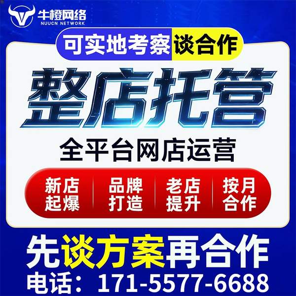 邢台电商代运营