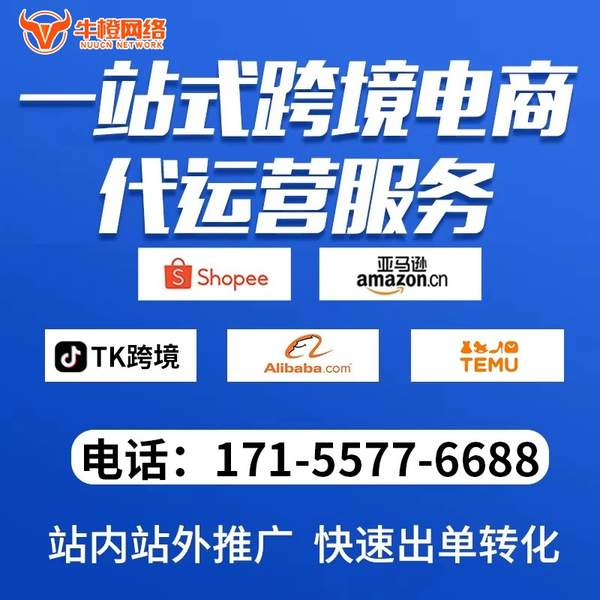 邢台电商代运营