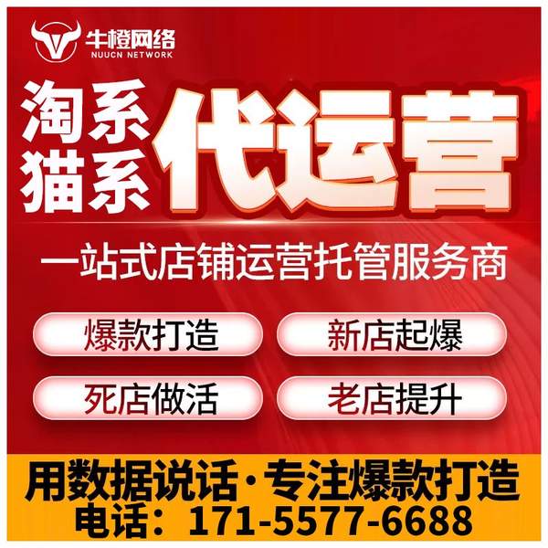 邢台电商代运营